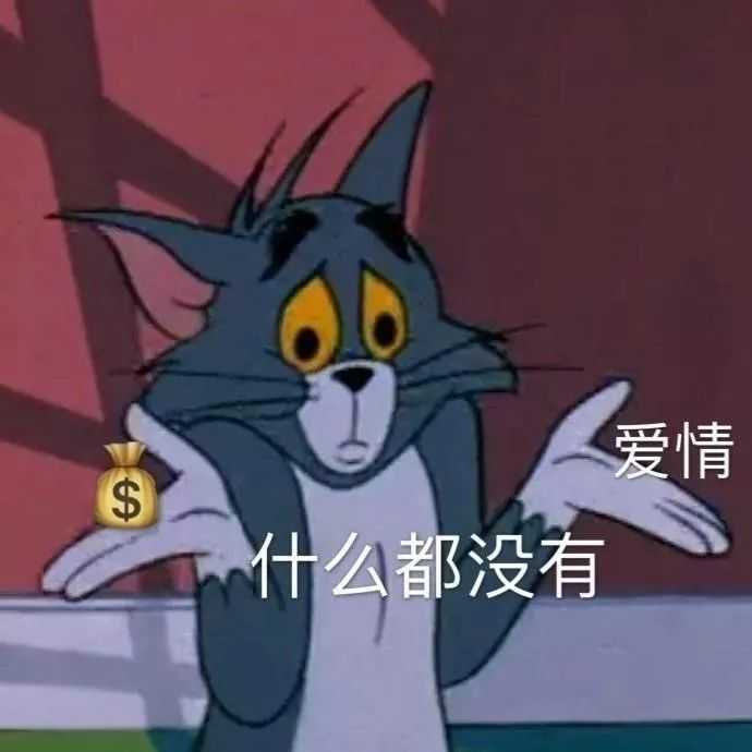 猫和老鼠