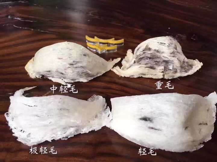 请问,普通燕窝会有漂白,刷胶的问题,难以分辨,轻毛燕会这样的吗?