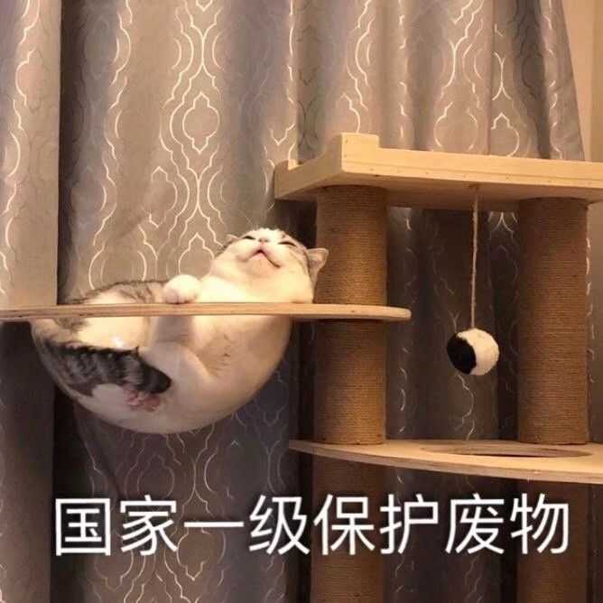 舔狗到底有多么卑微?