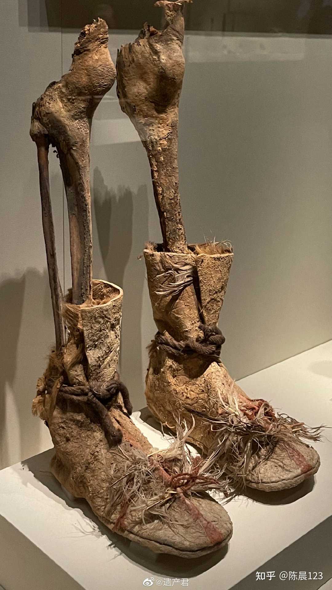 新疆和田博物馆收藏的穿靴干尸小腿年代为公元前21至15世纪相当于中原