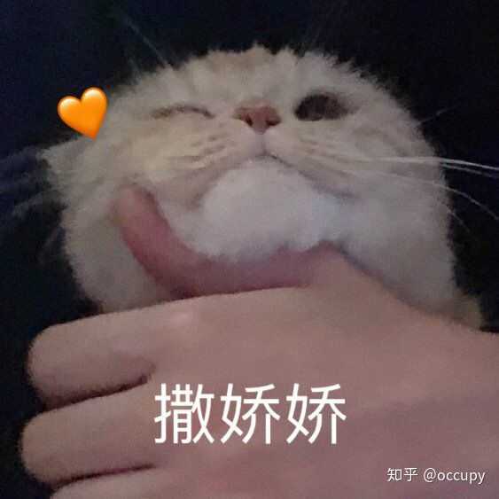 有没有好看的猫咪壁纸或头像?