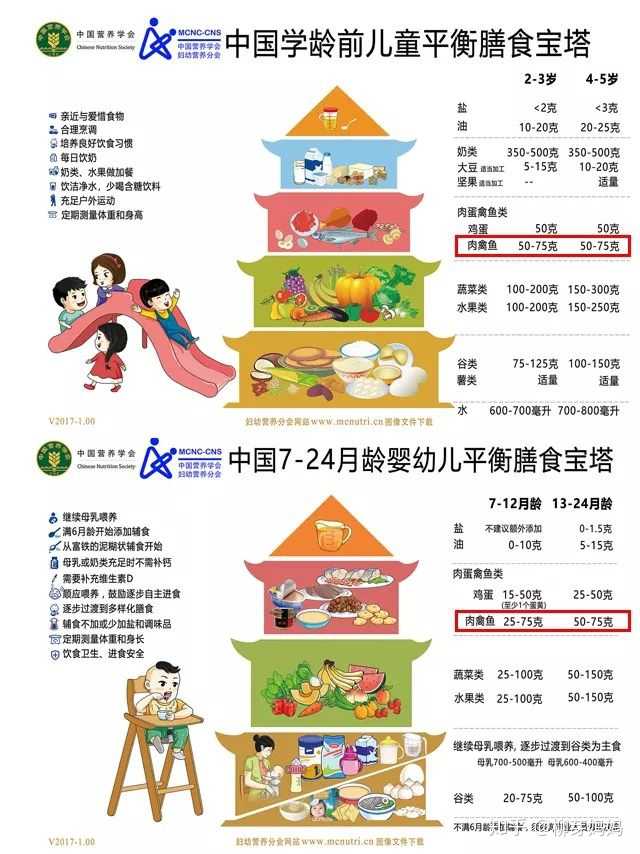 《中国孕期,哺乳期妇女和0-6岁儿童膳食指南,中国婴幼儿平衡膳食