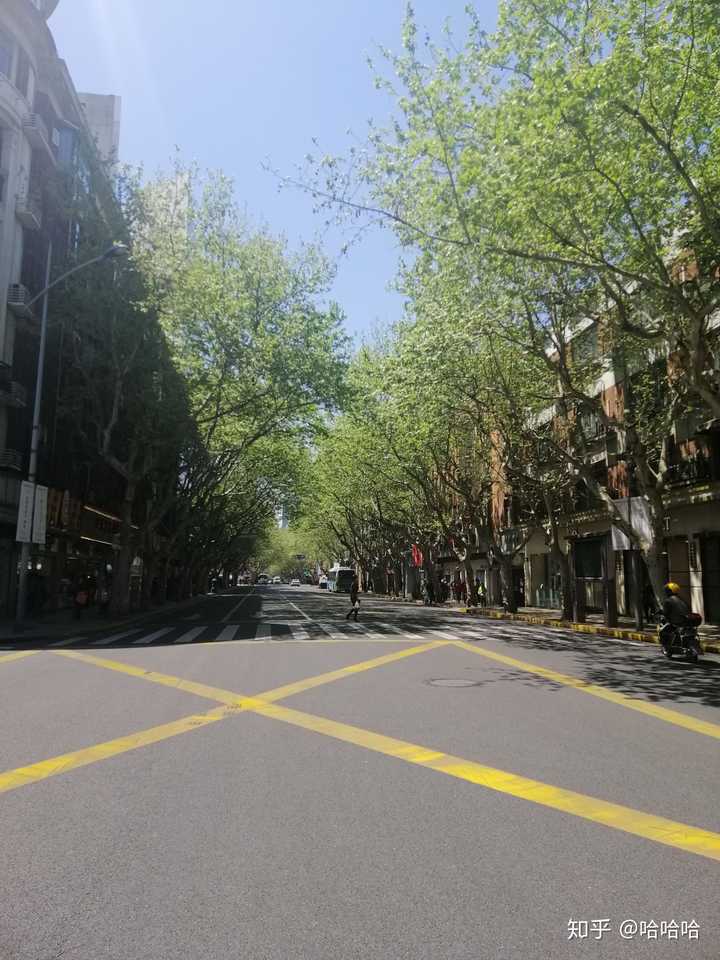 夏季,淮海中路的街道,很喜欢这种阳光透过树叶洒在地上景象.