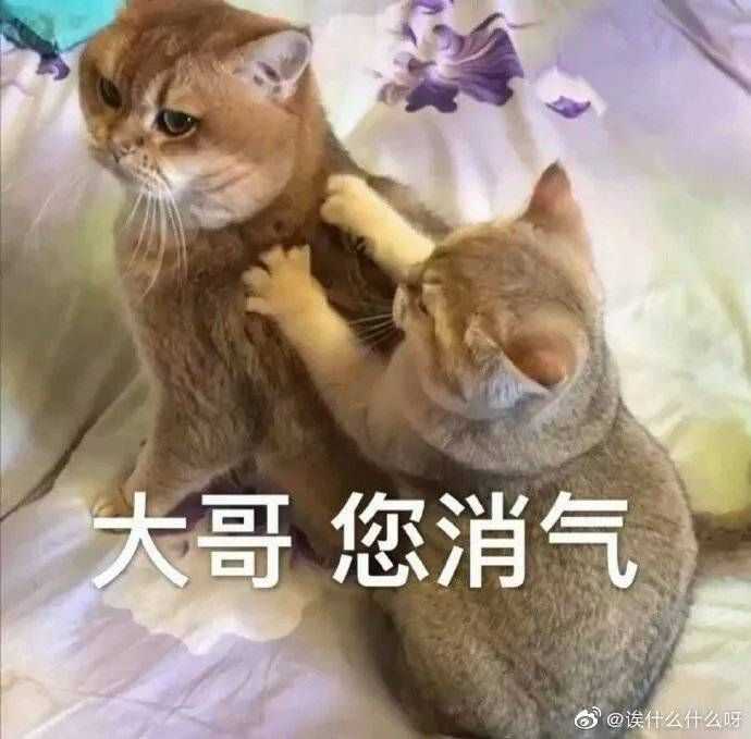 可倔强