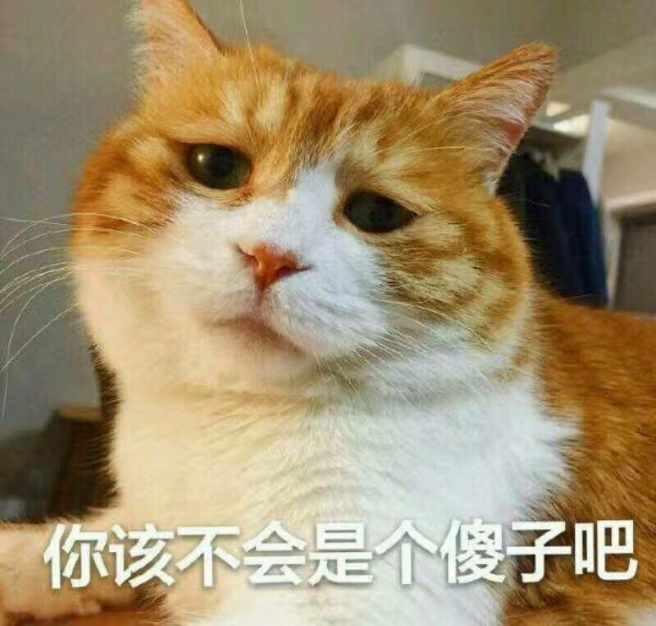 有哪些关于猫的萌图或者表情图?