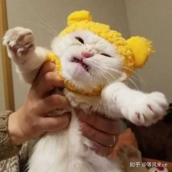 有哪些可爱又不失搞笑的头像?
