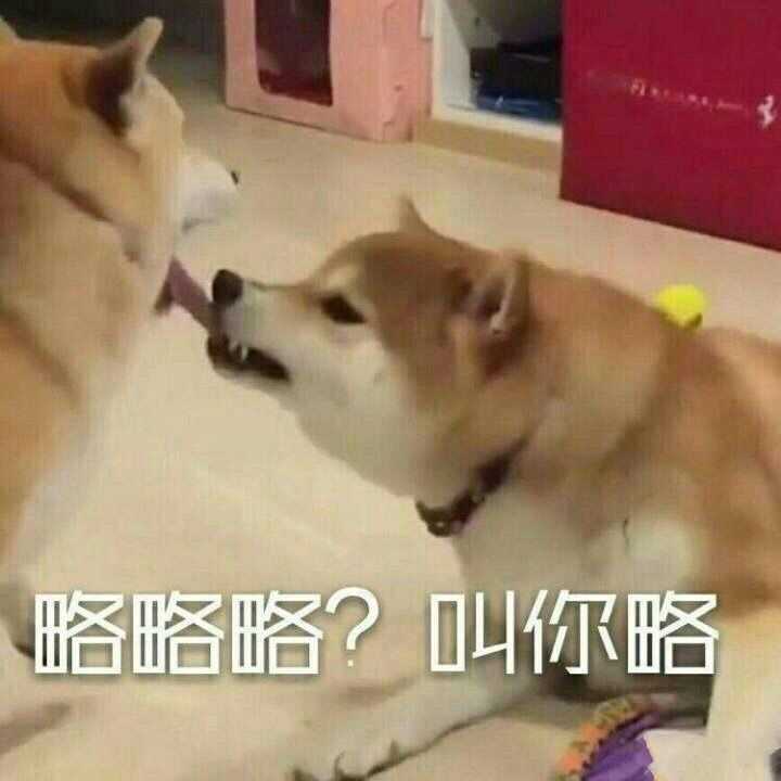 有没有恶毒凶狠的表情包?