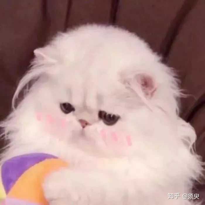 有哪些让人瞬间开心的头像?