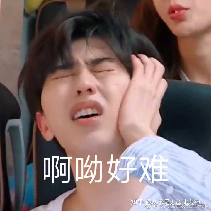 对不起我是真的ikun但是我们上班日常斗图全是神级表情包