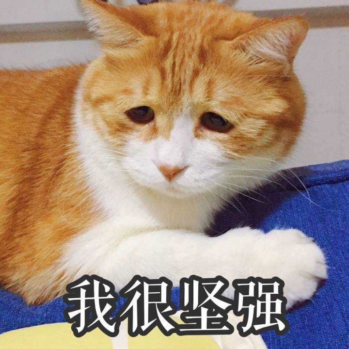 今天被同学顶到心塞了.