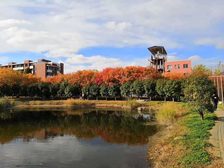 山东科技大学的景色到底有多美?