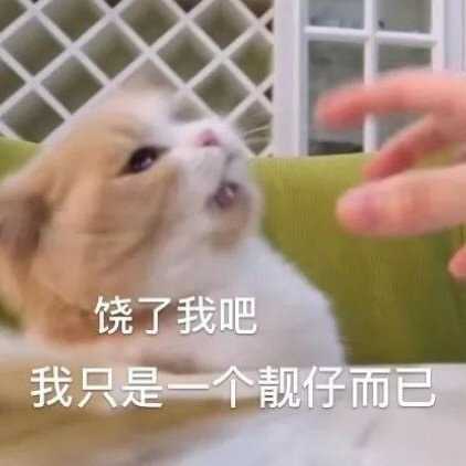 猛男求饶