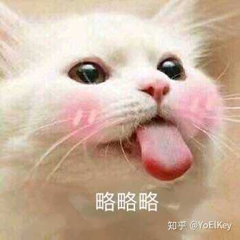 有表情经久不衰的表情和动图分享一热度了出来浪图片包图片