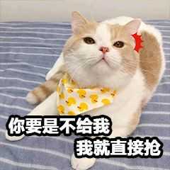 你有哪些让你一秒变开心的表情包?