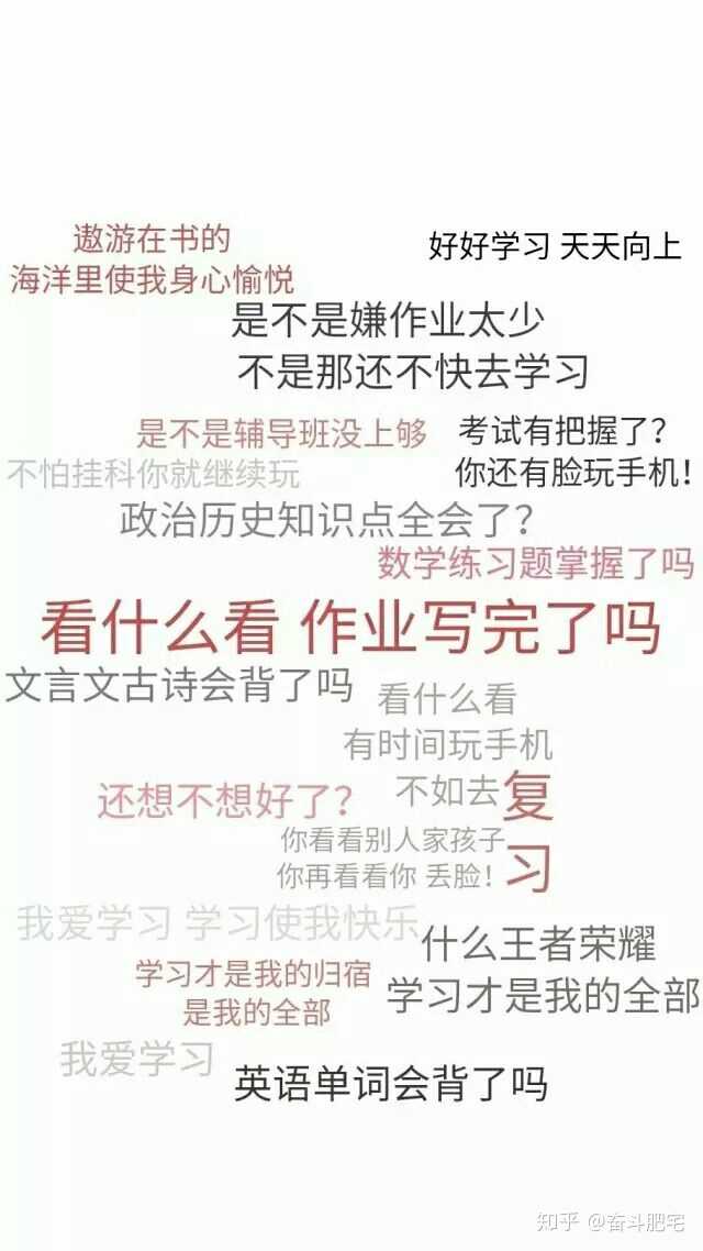 高二文科生一年应该如何规划?