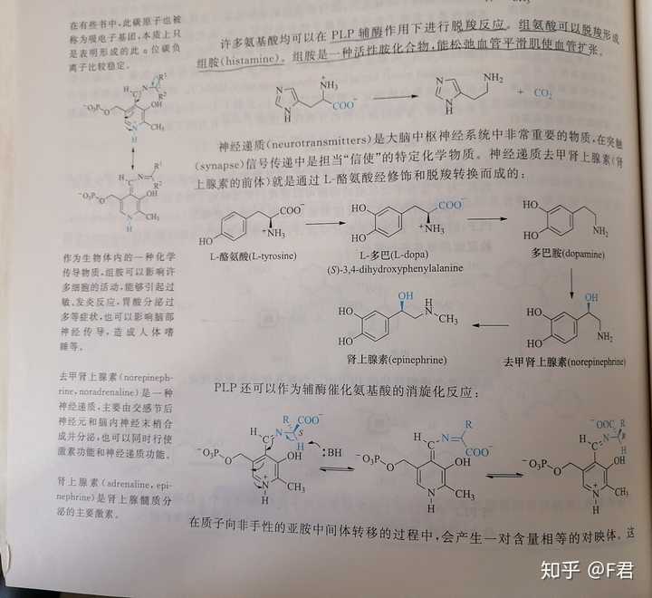 多巴胺是一种什么物质它是如何产生的具体有什么功能和用途