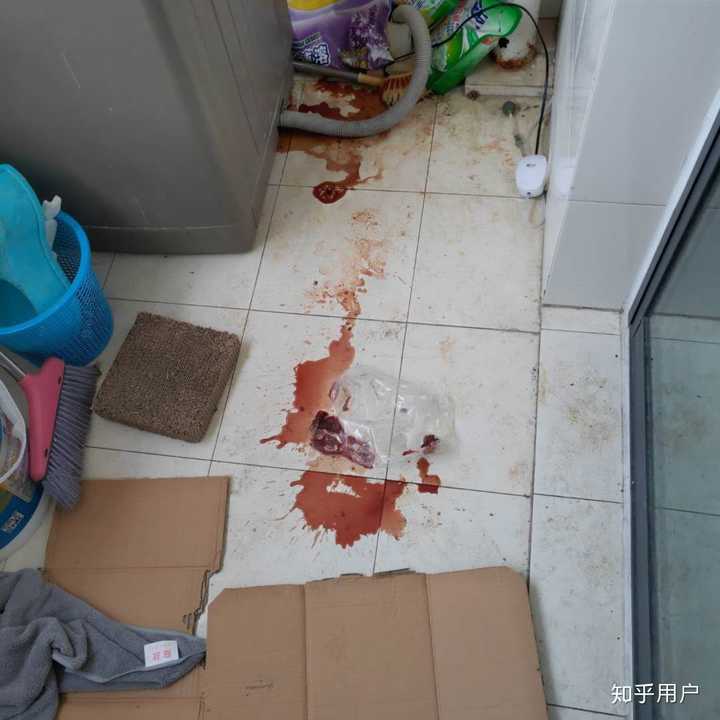 她就在血迹里趴着