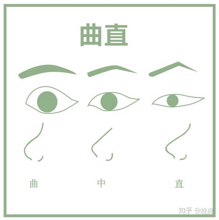 那么这些曲直与大小根据什么判断呢? 根据五官的轮廓来判断.