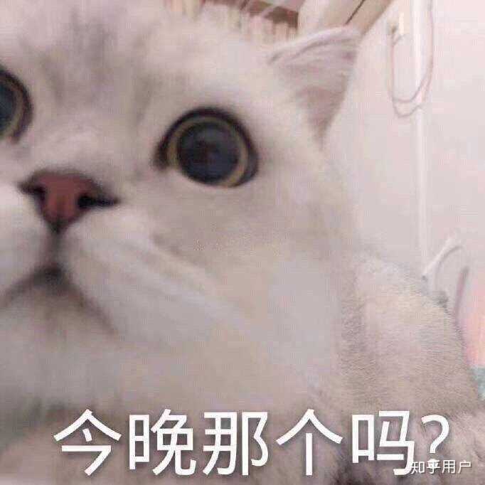 今晚那个吗?