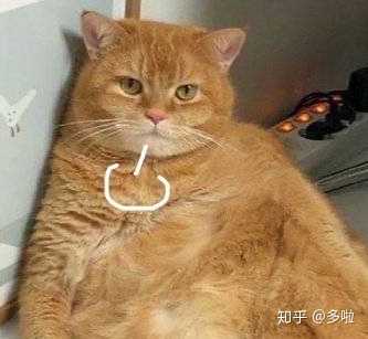 有没有什么惊艳的微信头像?