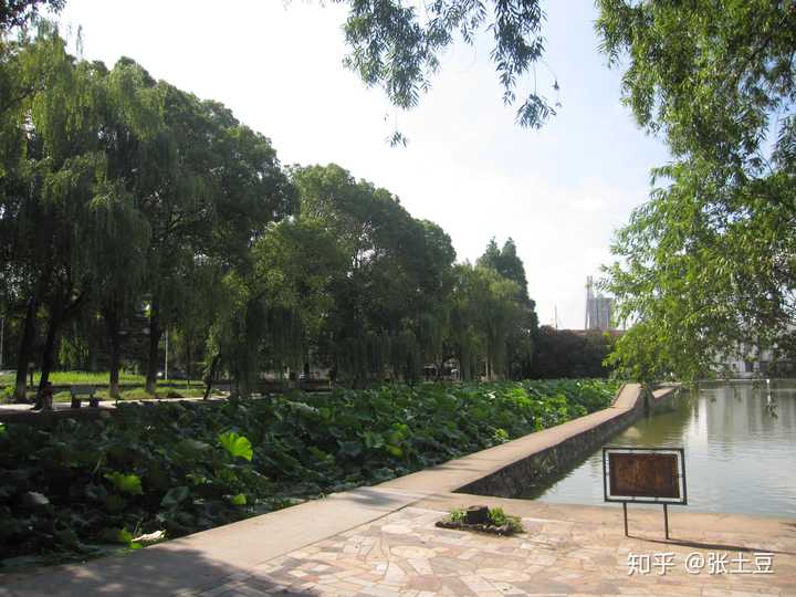 在武汉理工大学余家头校区读书是种什么样的体验?