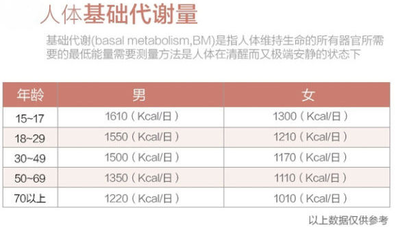 什么是「基础代谢率」,影响基础代谢率的因素有哪些?