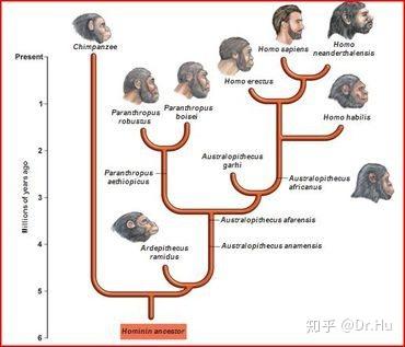 进化论能够解释人类起源吗?