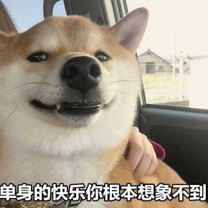 你用过的最沙雕的表情包是什么?