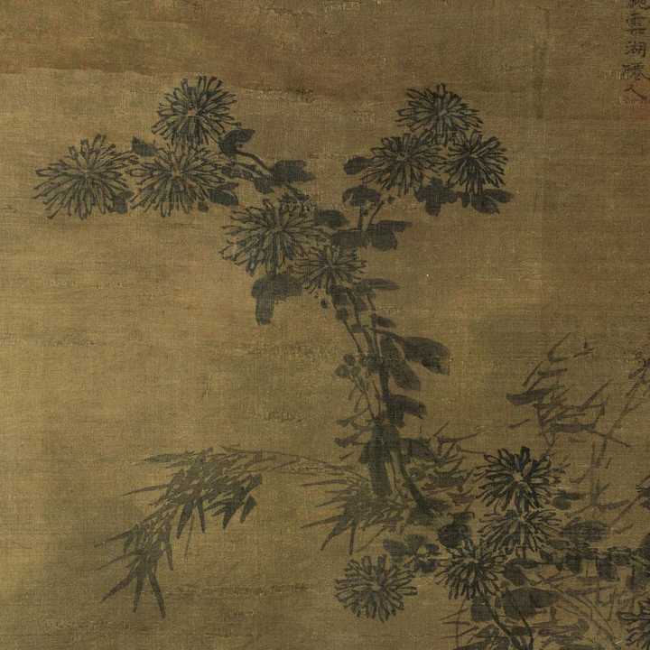 徐渭画菊,使用了和陶成类似的图式,只是更加放逸.