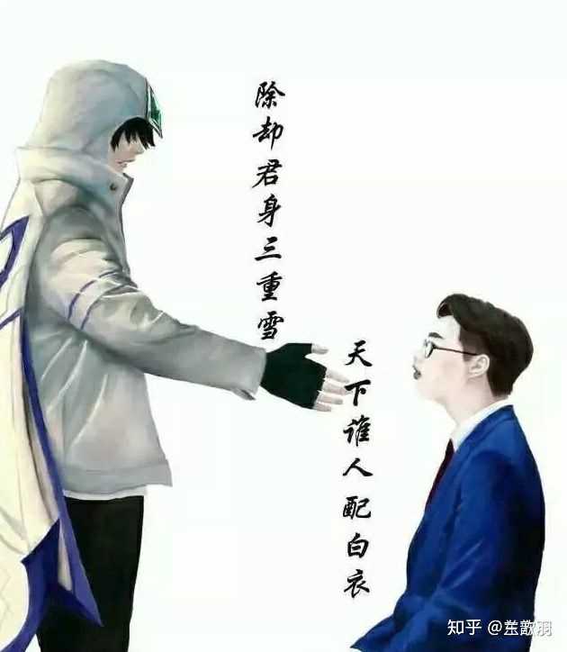 除却君身三重雪,天下谁人配白衣.这俩句诗什么意思?