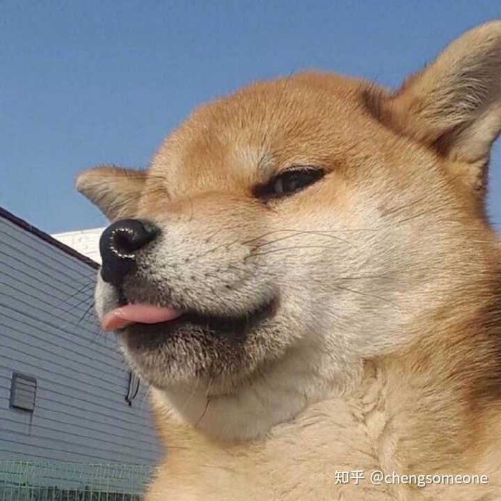 单身狗笑笑不说话