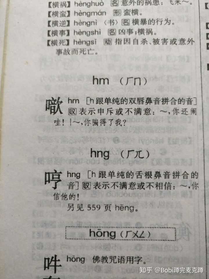 「哼」在大陆的字典中读hng