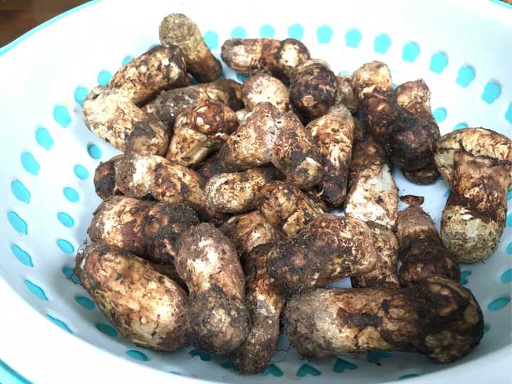 这炸菌子的油也不能浪费,刚好可以拿来炒饭.