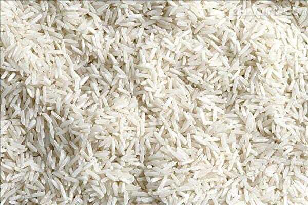 印度米侧重于长粒或中长粒形无腹白的优质米,以米饭的膨胀性为主要