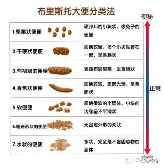 初生婴儿大便正常情况应该是怎样?