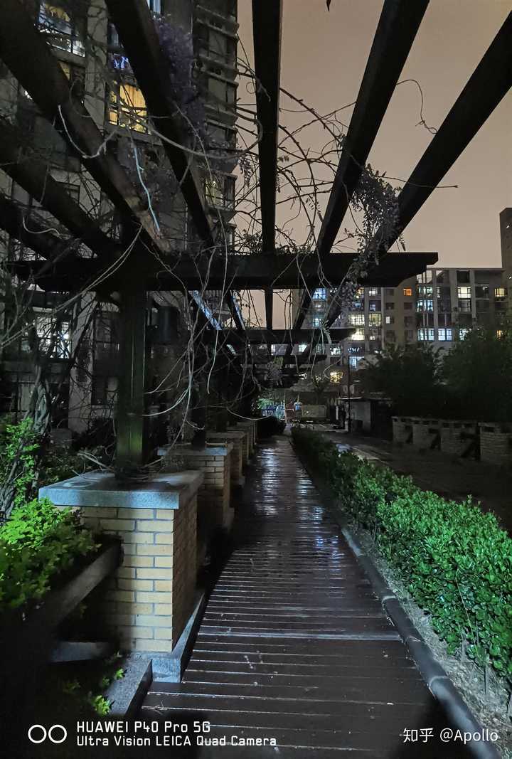 华为p40pro 和iphone11promax的拍照哪个好?