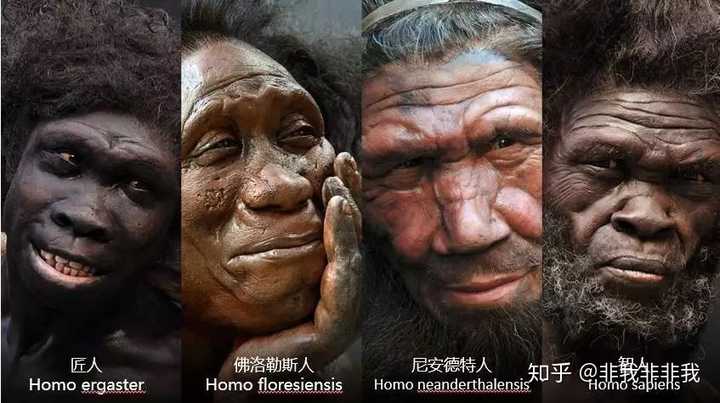 人类是从猴子进化来的 为啥现在的猴子没有进化成人的