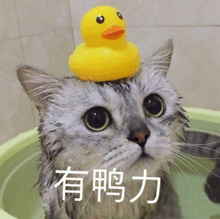 作为一个老师,应该用什么样子的微信头像?