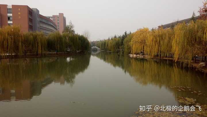 河南科技大学在河南到底怎么样