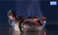 200_122gif 动态图 动图