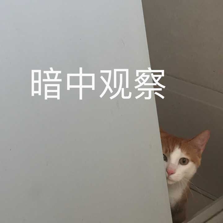 上厕所时候的暗中观察