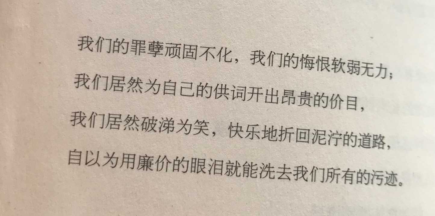 情深不寿,慧极必伤