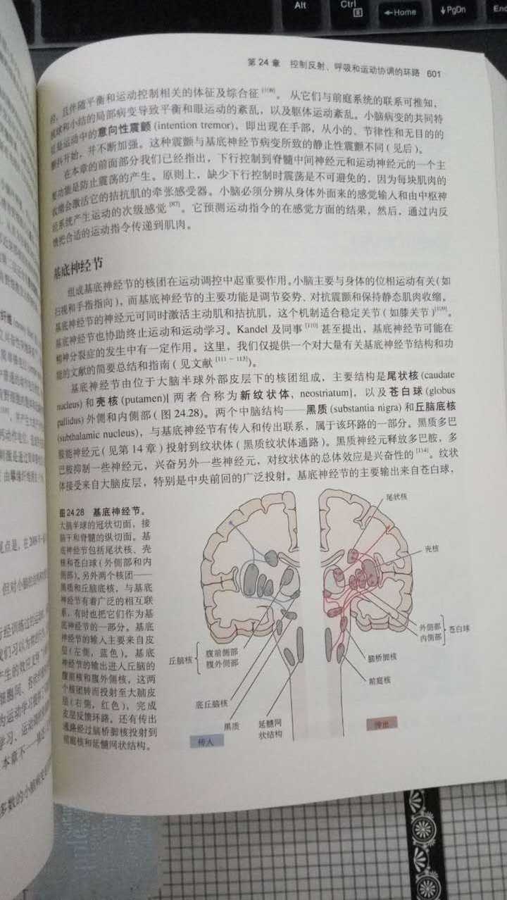 目前教科书对基底神经节几个主要核团之间的神经投射的描述是准确的吗