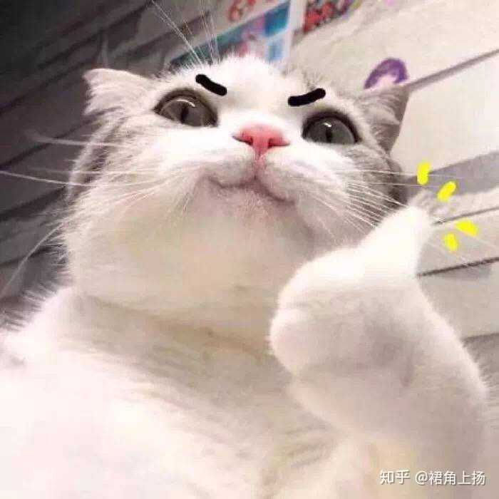 这样的我是不是棒棒哒