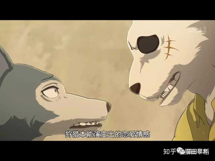 如何评价2019年10月新番beastars动物狂想曲