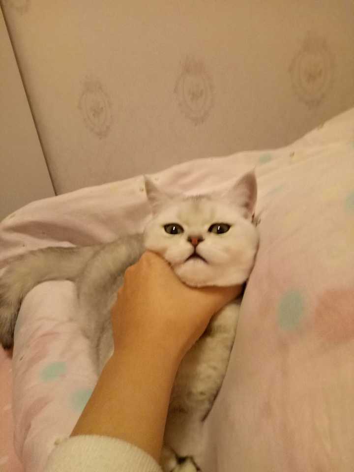 被命运扼住咽喉