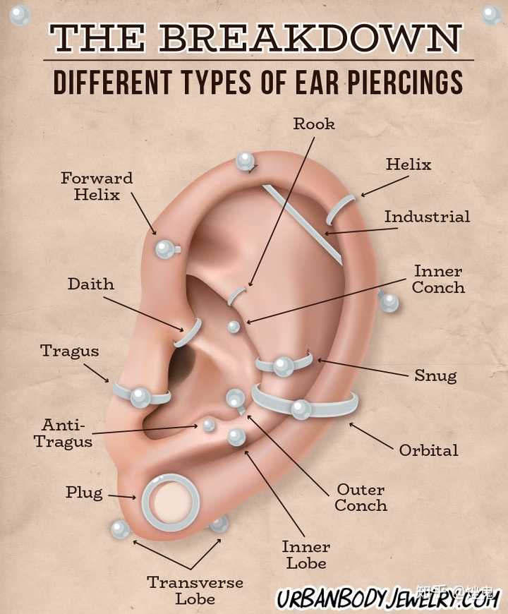 打耳骨钉可以打在什么位置