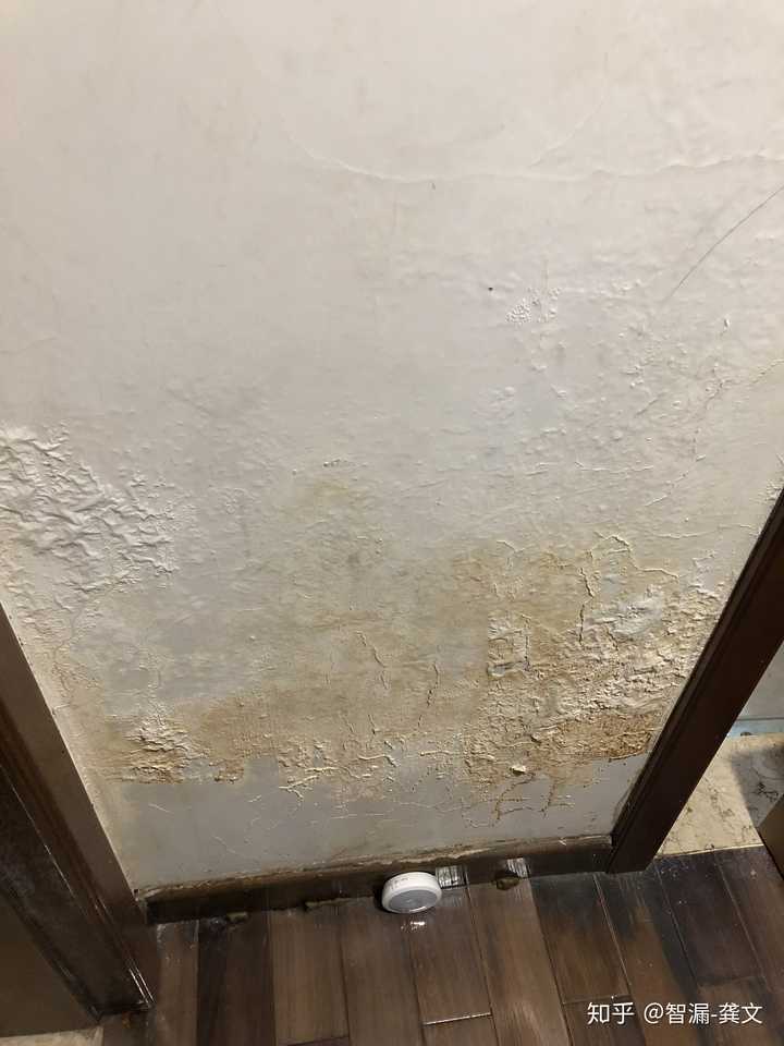 家里砖混墙面严重发霉,后墙墙体涂料全部腐蚀脱落,厕所瓷砖都腐蚀裂纹