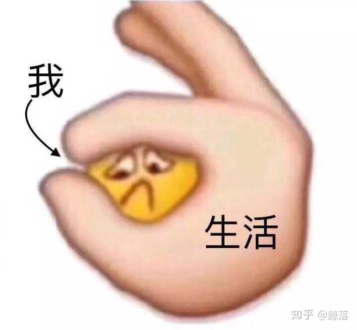 看完分数线的我:生活好难,我好烦(加分喷雾真的喷到分数线上了)