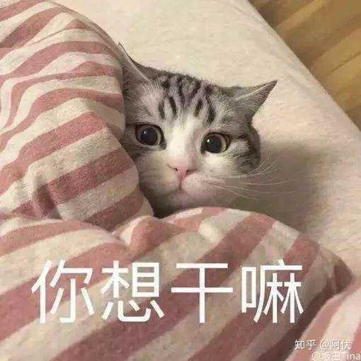 有什么可以回复"抱我"表情包的表情包?